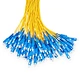 SC PLC Splitter